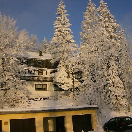Pension Stiegelmeier Вінтерберг Екстер'єр фото