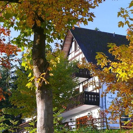 Pension Stiegelmeier Вінтерберг Екстер'єр фото