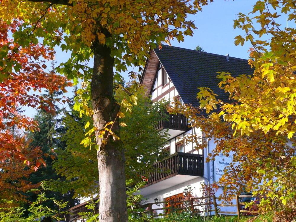 Pension Stiegelmeier Вінтерберг Екстер'єр фото